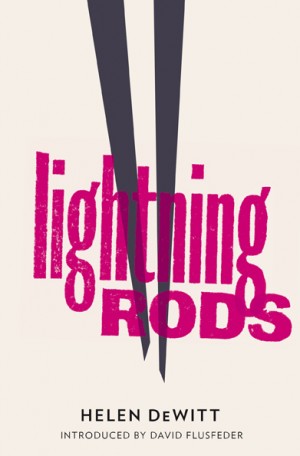 LIGHTNING RODS